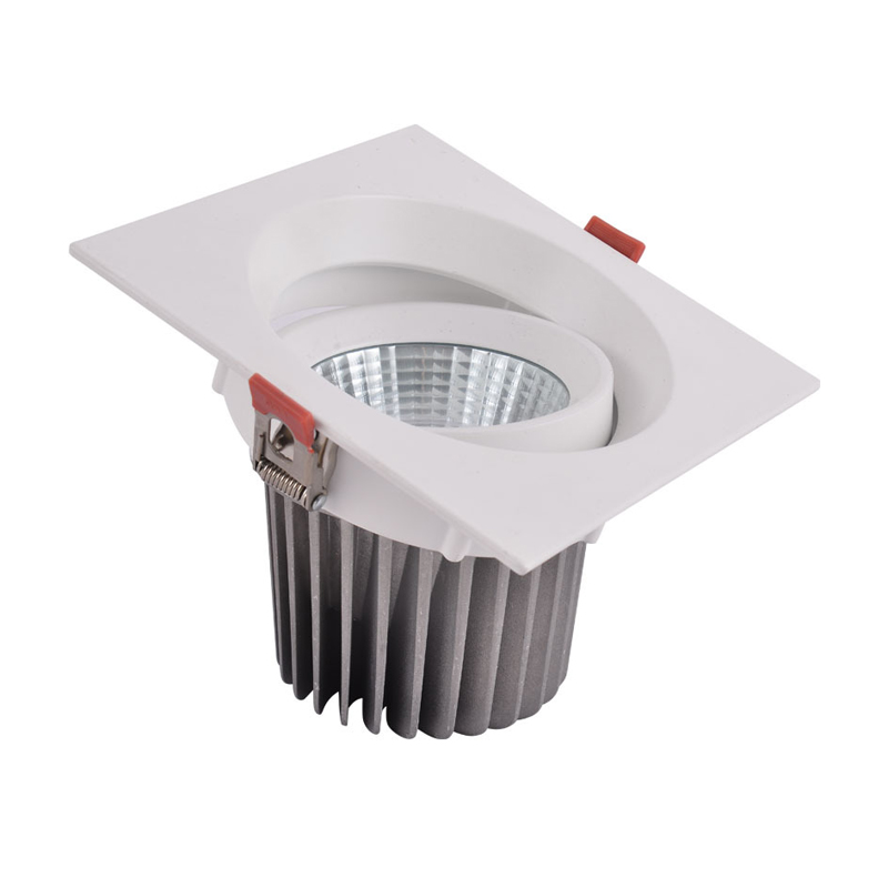 Square Downlight LED-Fromlux Manufacturer