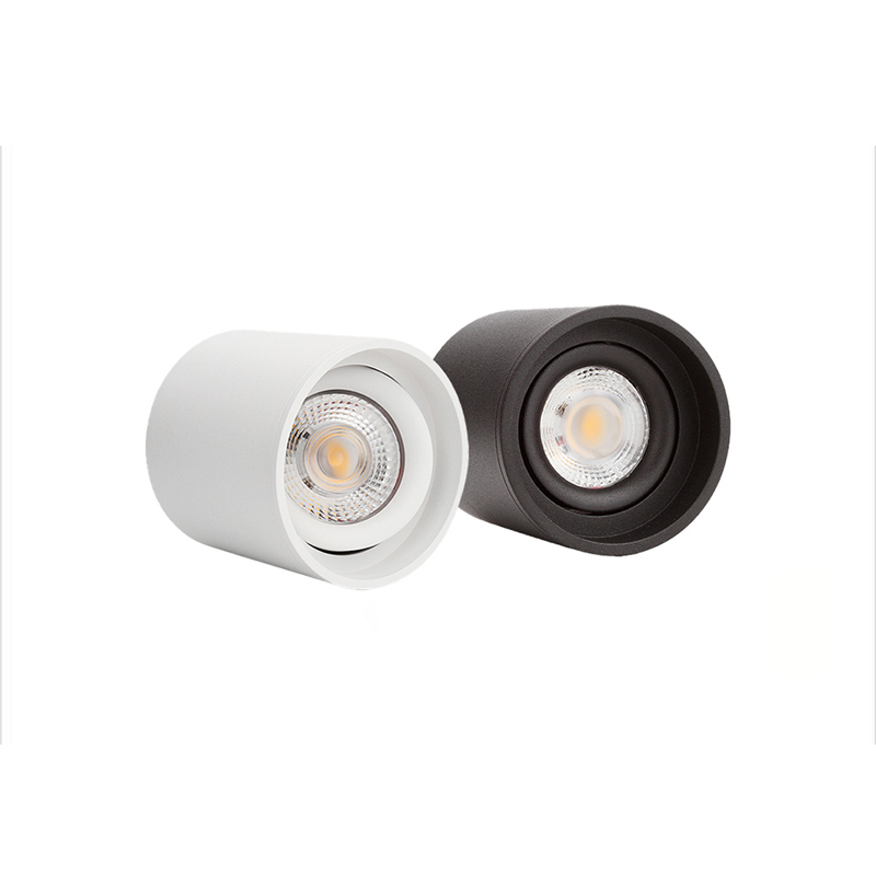 Surface Downlight-Fromlux Manufacturer