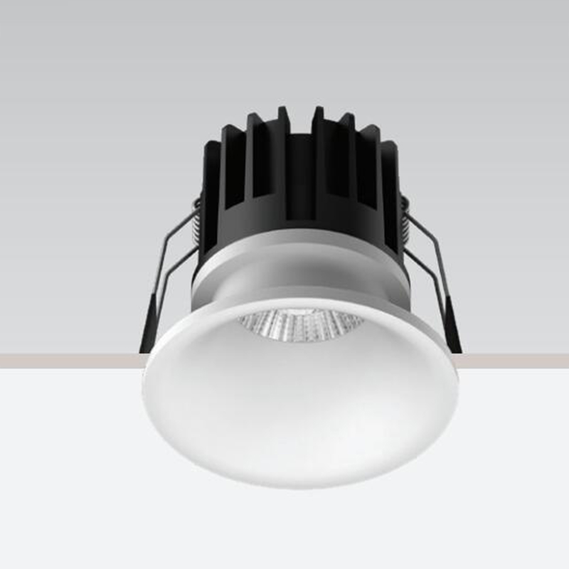 Recessed Donwlight – FL1009-Fromlux Manufacturer