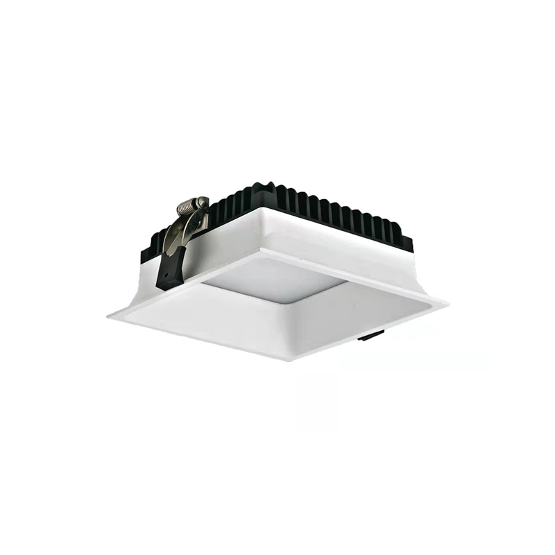 Recessed Donwlight – FL2001-Fromlux Manufacturer