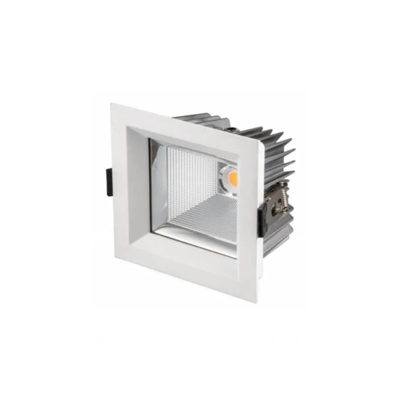Downlight FL2004 (1)