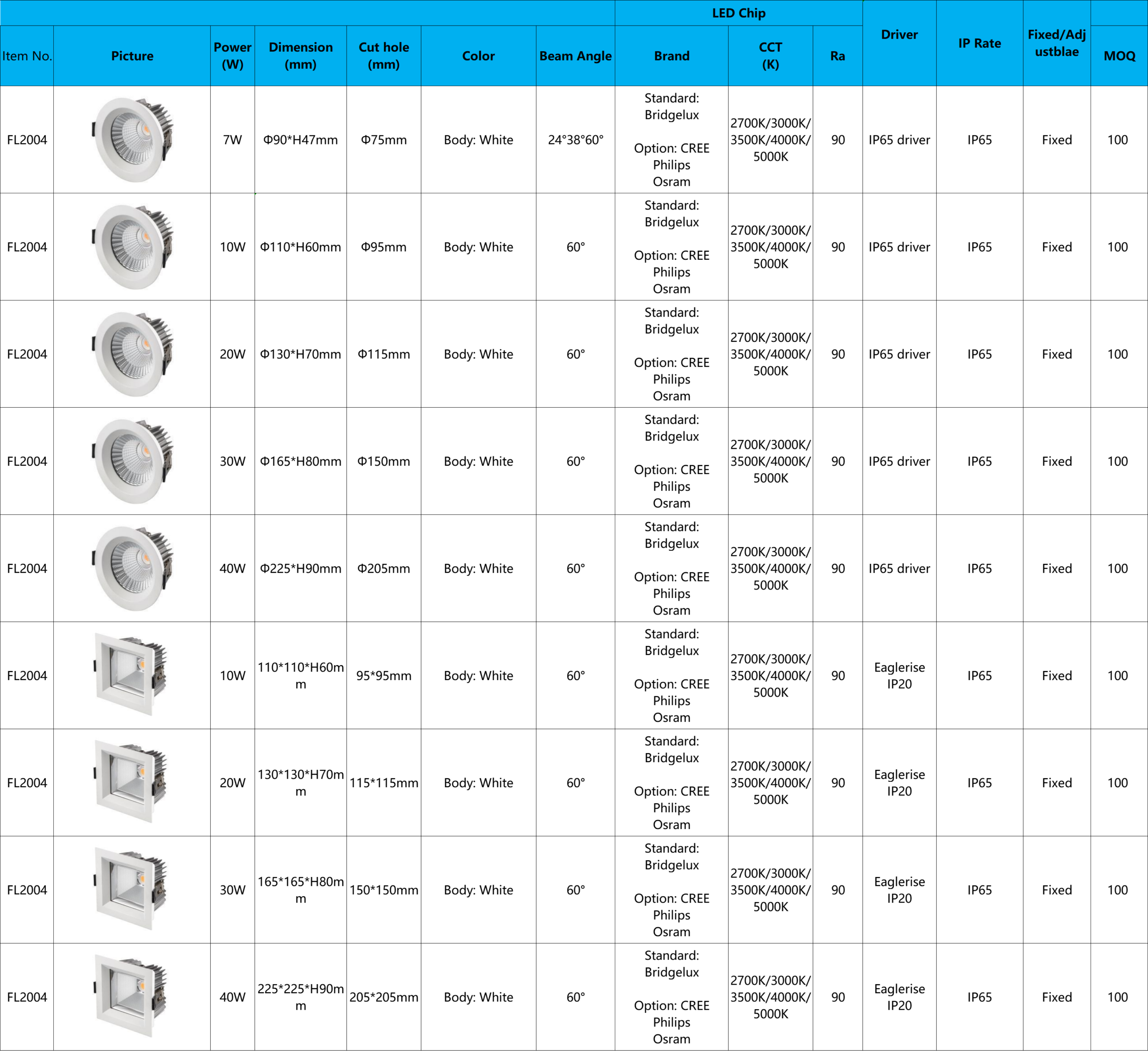 Downlight FL2004