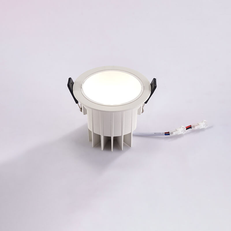 Downlight FL2007 (6)