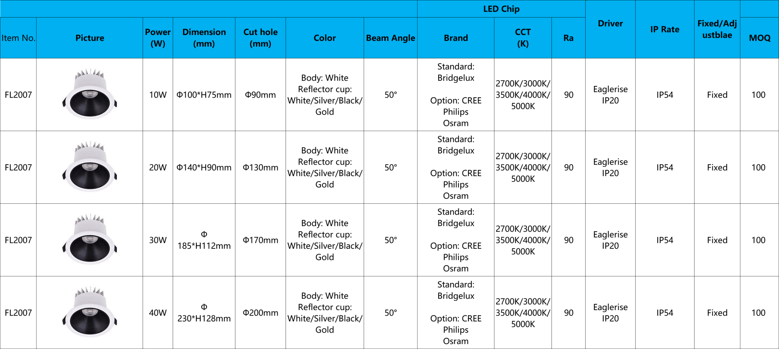 Downlight FL2007