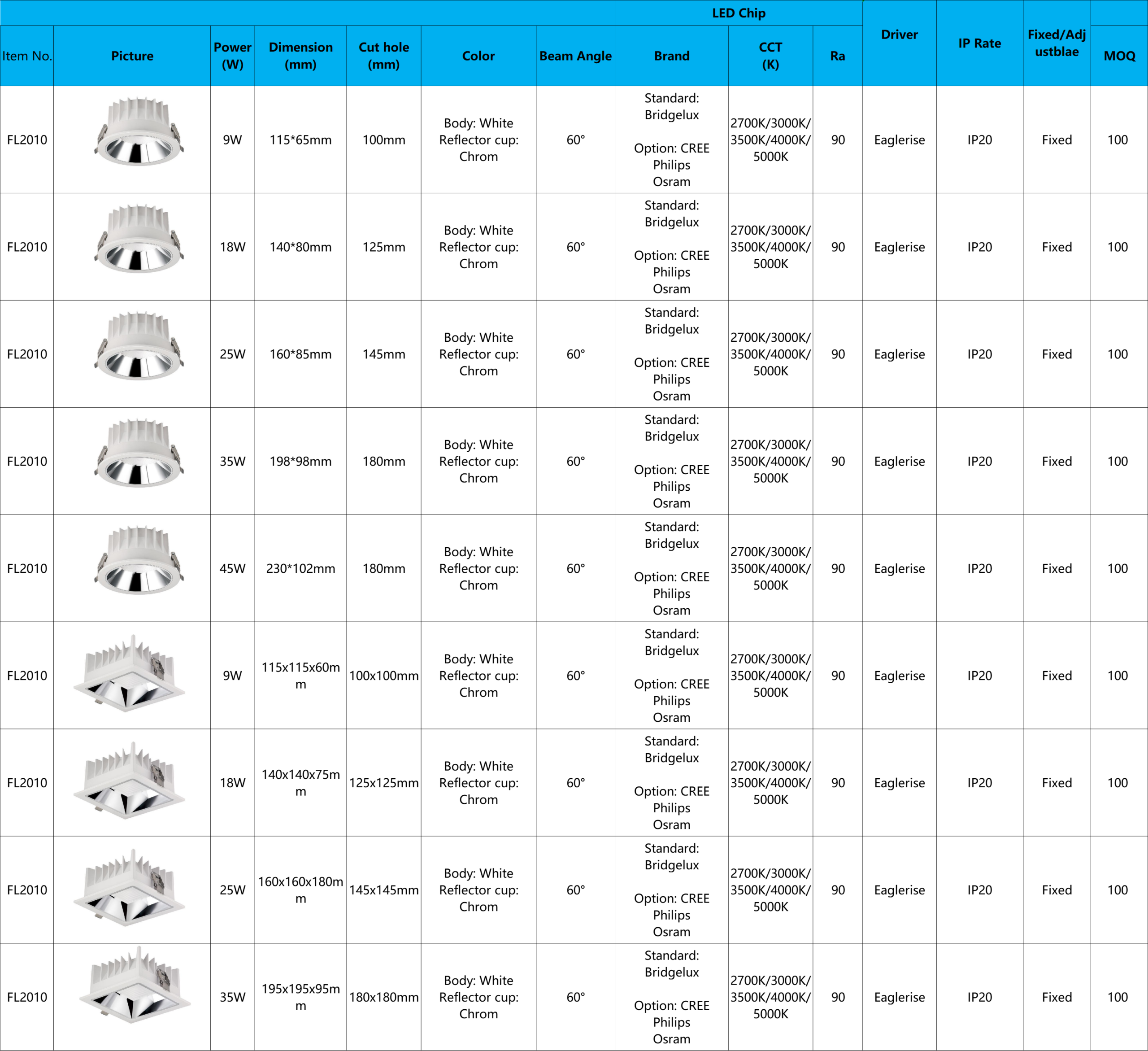 Downlight FL2010 (1)