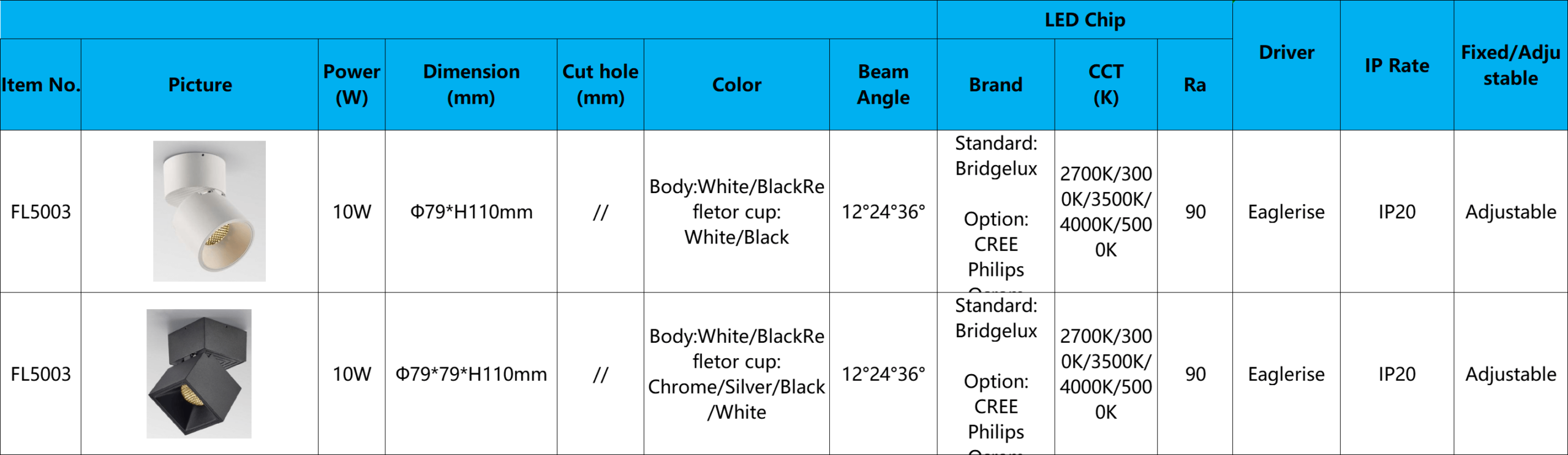 Surface Downlight FL5002