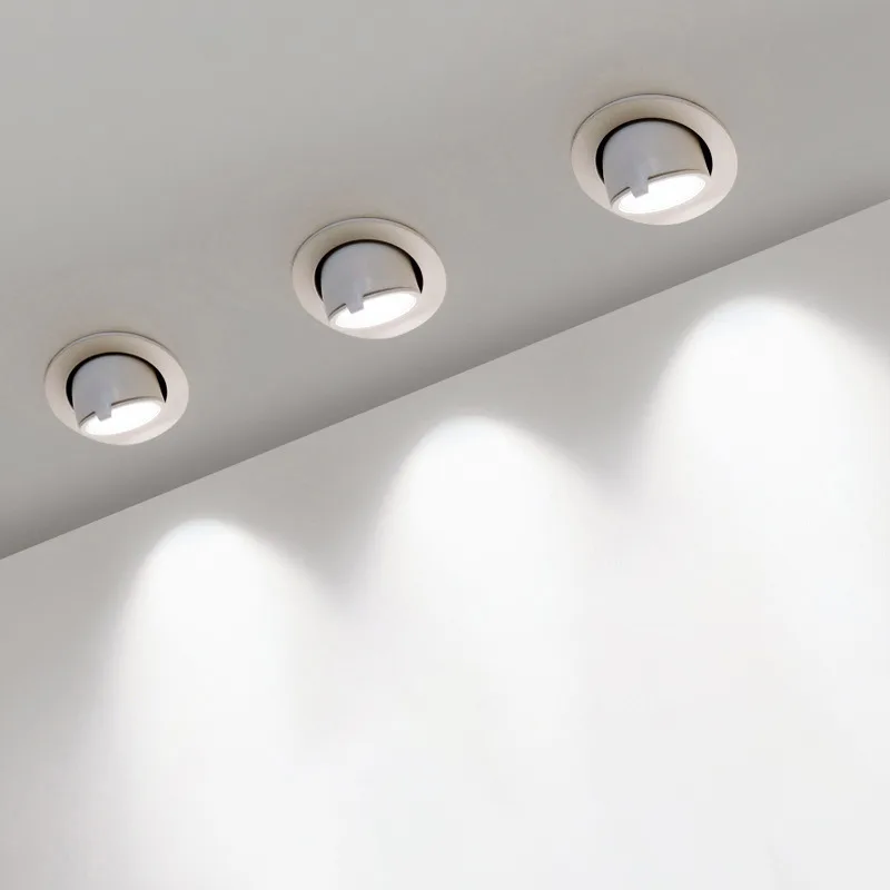 Snoot Downlights: