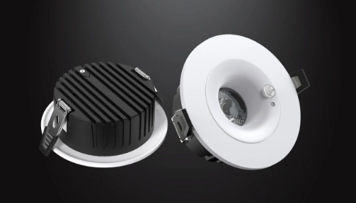 Induction downlight